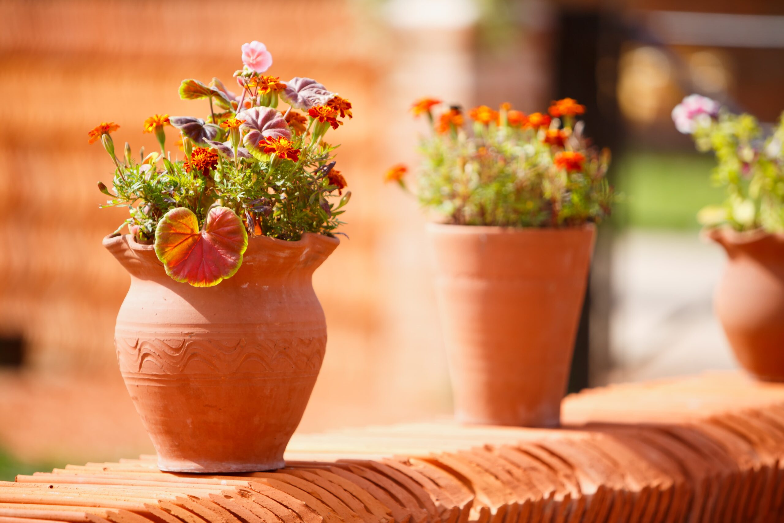 William Blyth Personalised Flower Pots | Garden Pottery